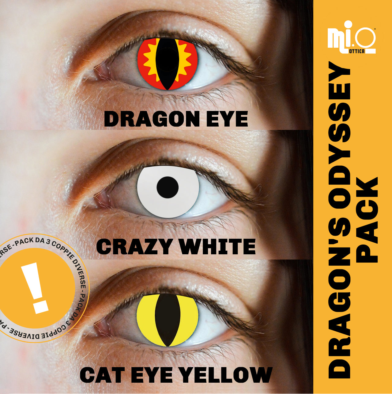 Pack Dragon's Odyssey