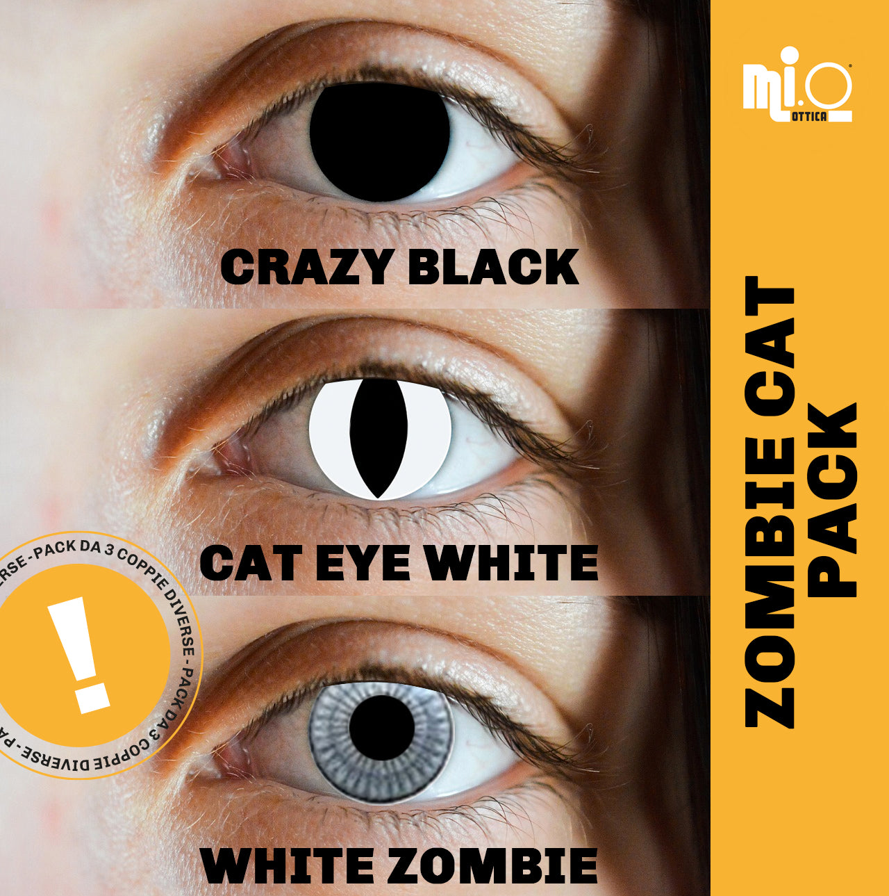 Pack Zombie Cat